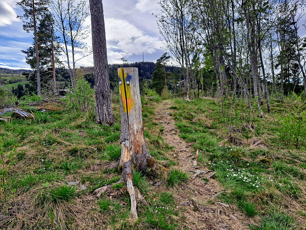 Dekorert stubbe på Pinnikhaugen
