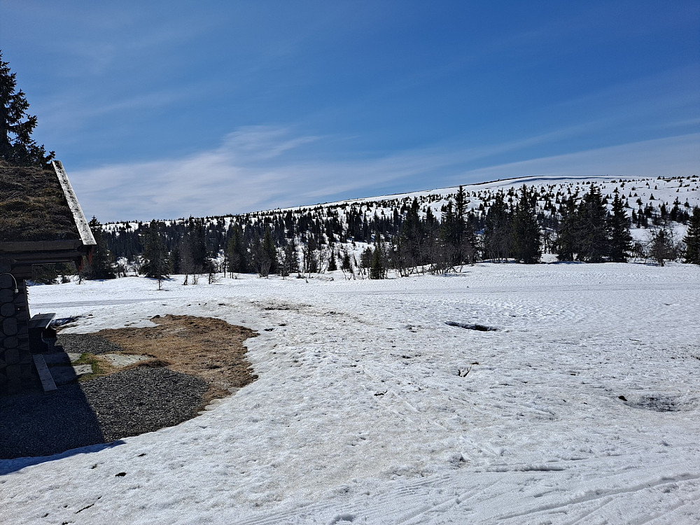 Ved Midtfjellkoia
