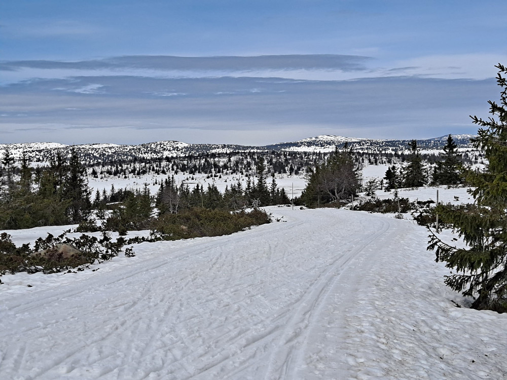 På Gjesboåsen