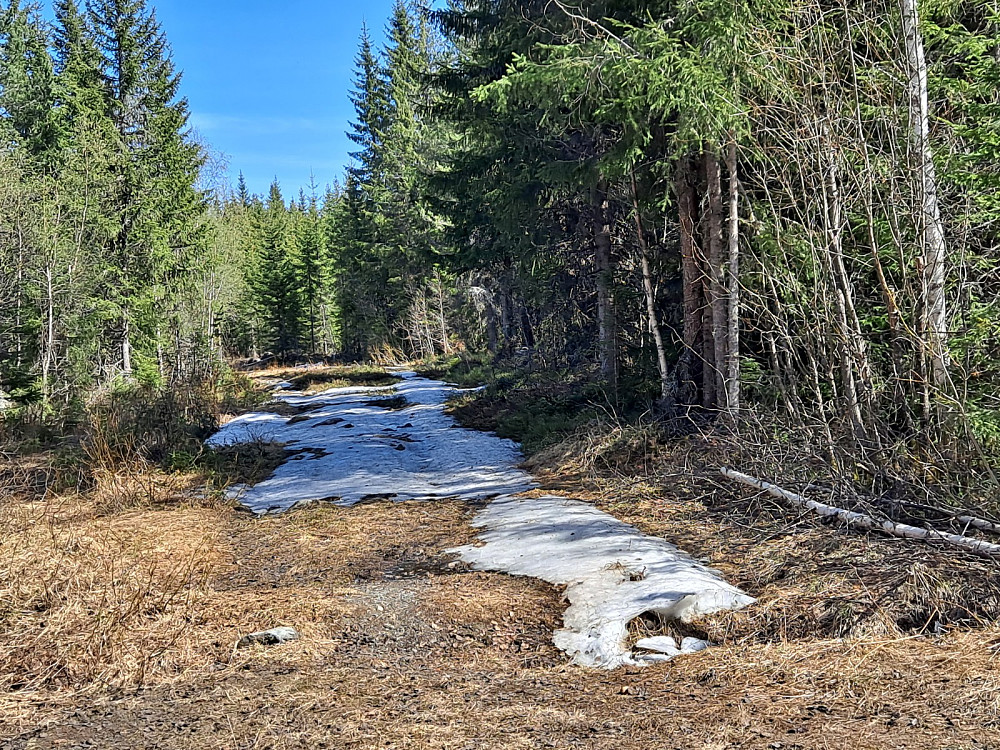 Rester av Ingalåmi