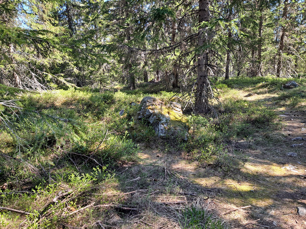 På Kanthaugen