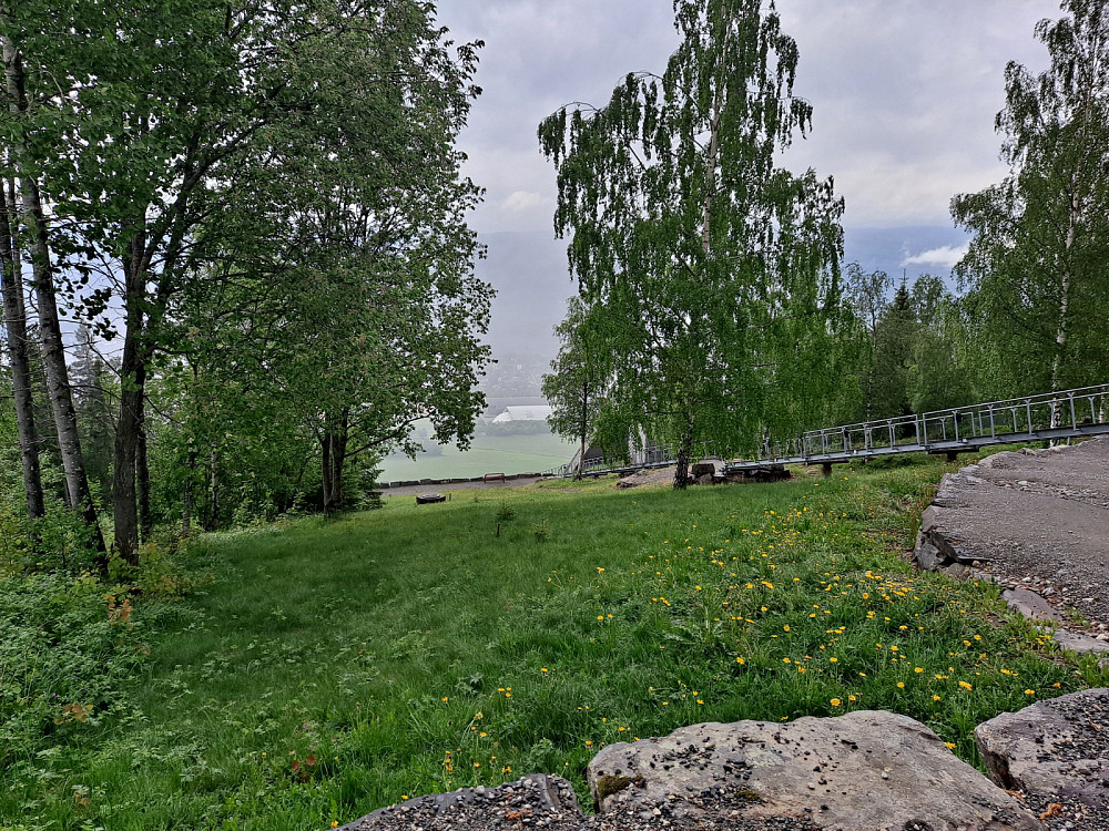Gråvær