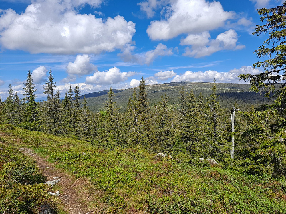 Mot Nevelfjell