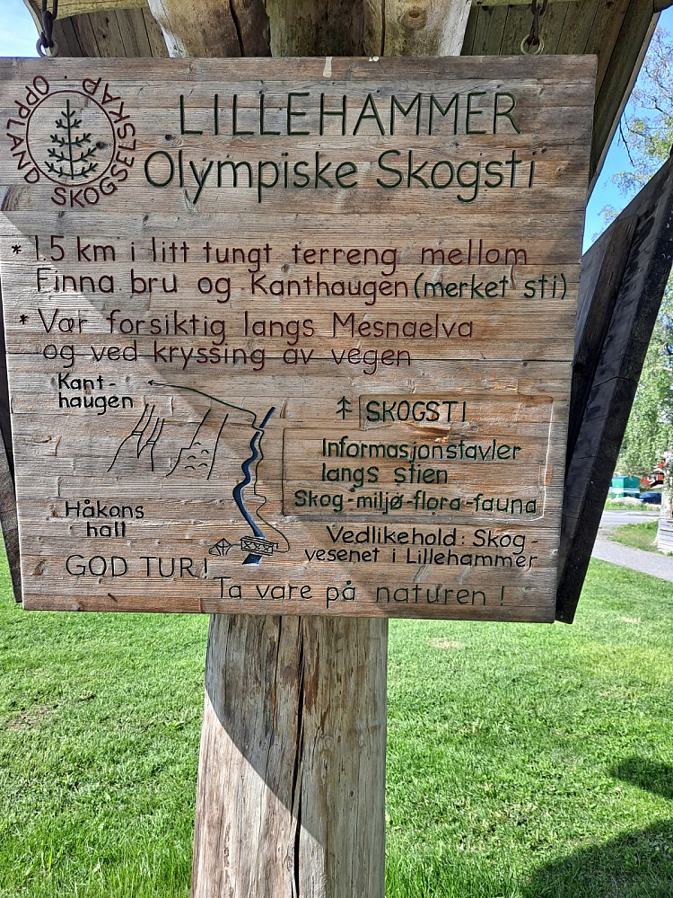 INFO ved badedammen