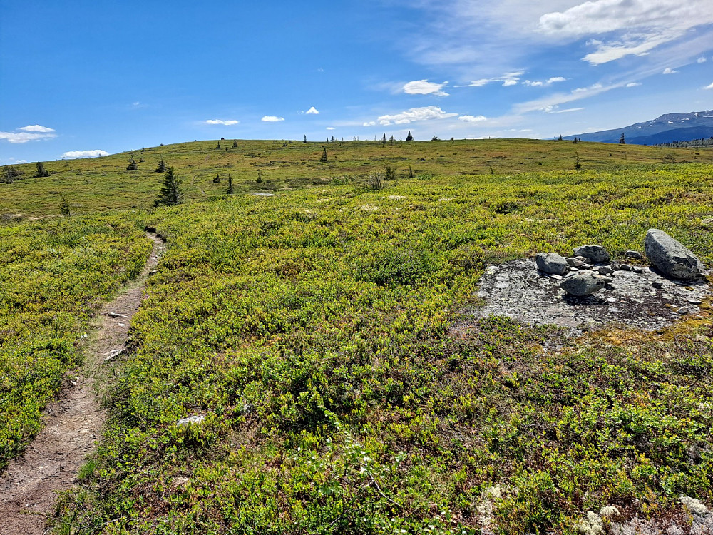 Ser tilbake på Hærfjellet