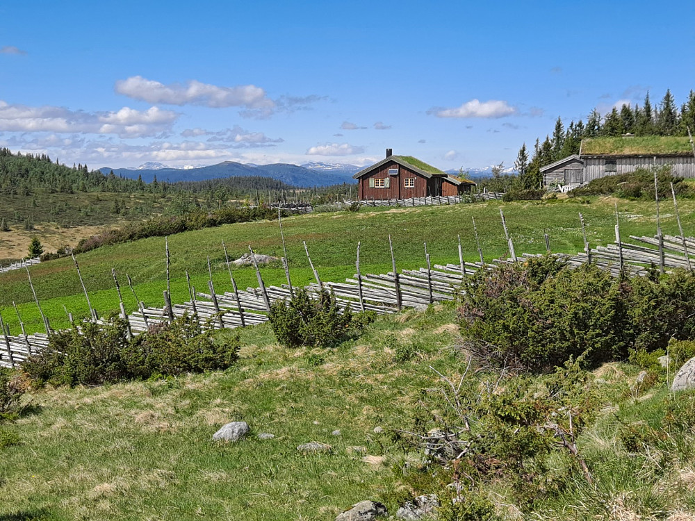 Nygårdslisetra