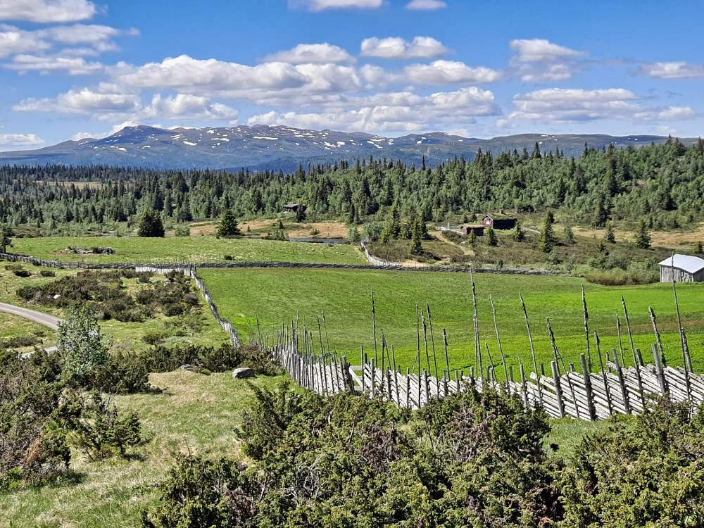 Mot Synnfjellet