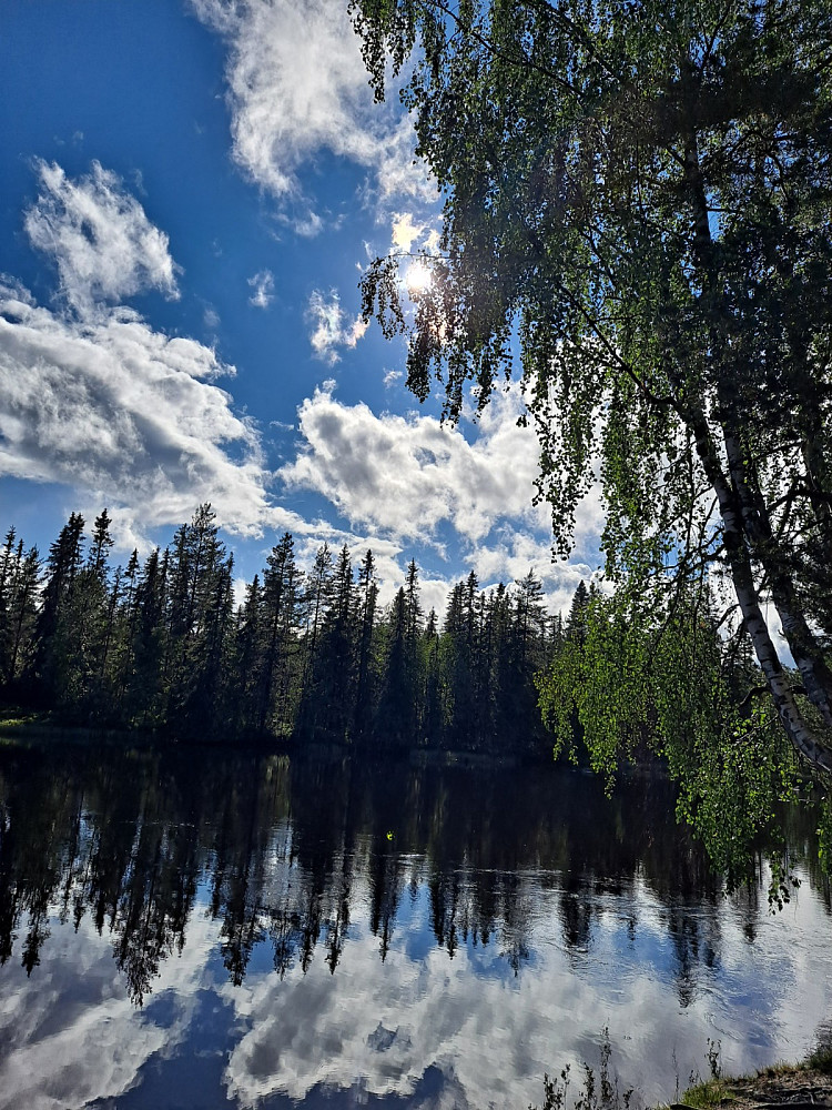 Ved Krokbua