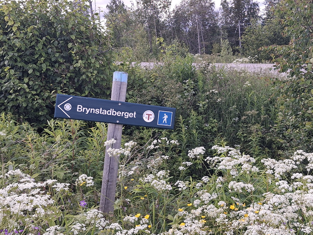 kommet ned igjen dit råket tok av fra Kragebergvegen