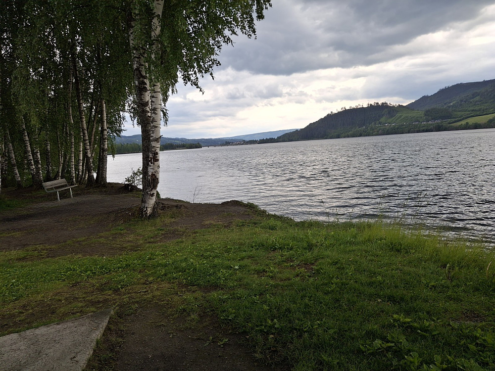 Ved fuglekikkertårnet
