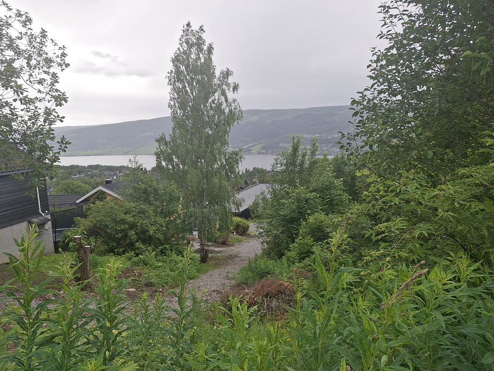 Fra Tverrløypa