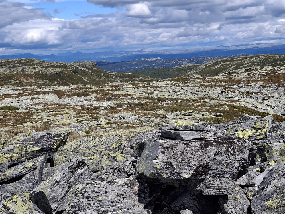 På Ulene, Store Sølnkletten langt bak