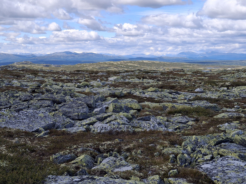 På Ulene, ser bla. Heidalsmuen