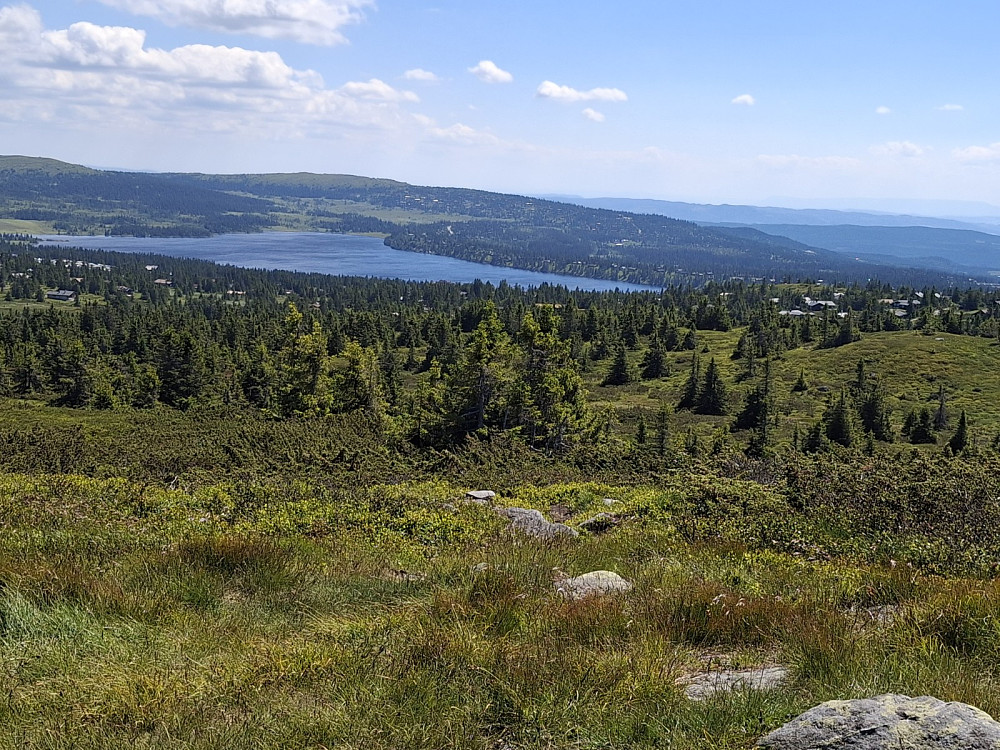 På Sjusjøfjellet