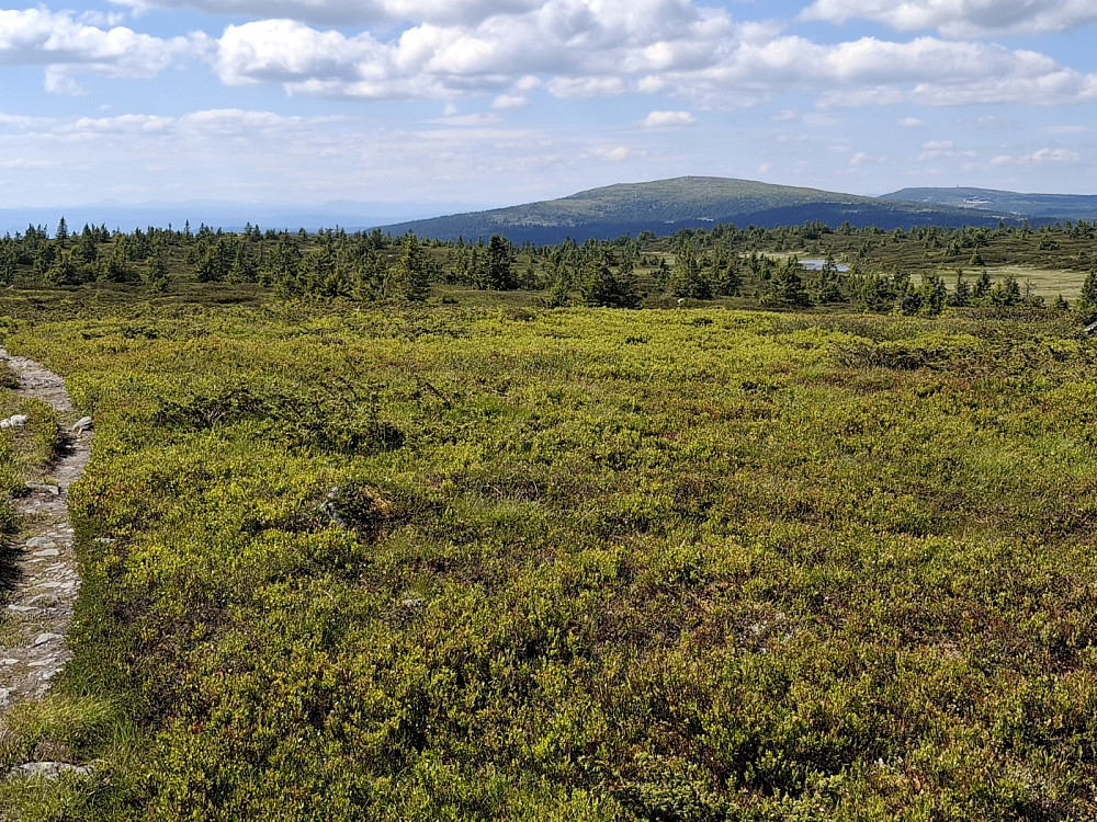 På Lunkefjell vest