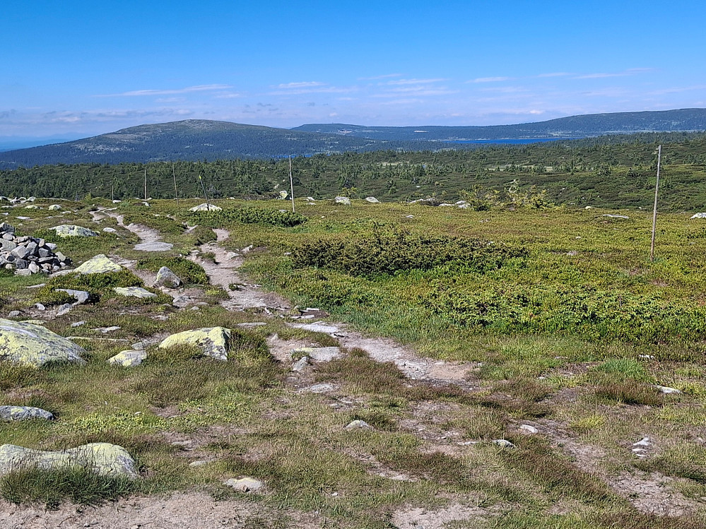 På Lunkefjell