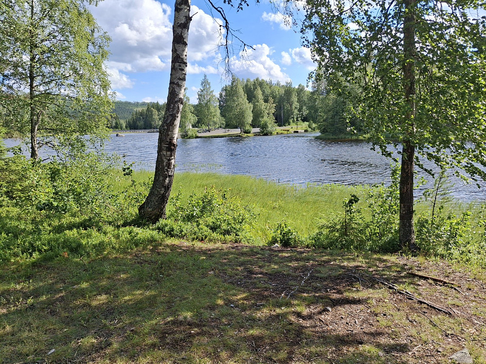 Ved Krokbua