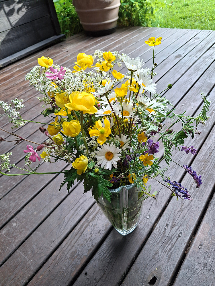 Markblomster fra Krokflø