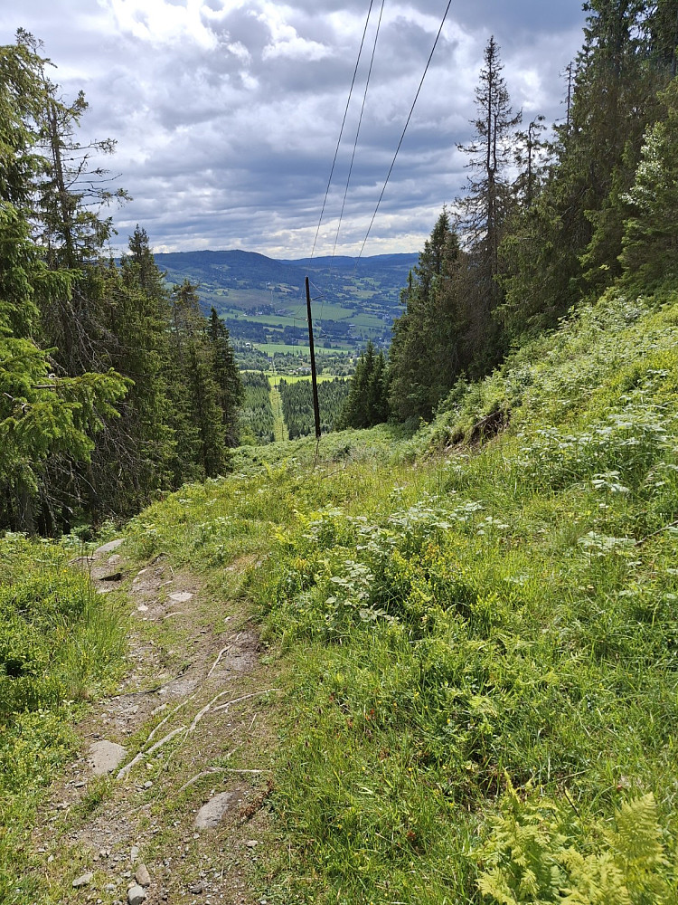 Ned fra Lundevarden