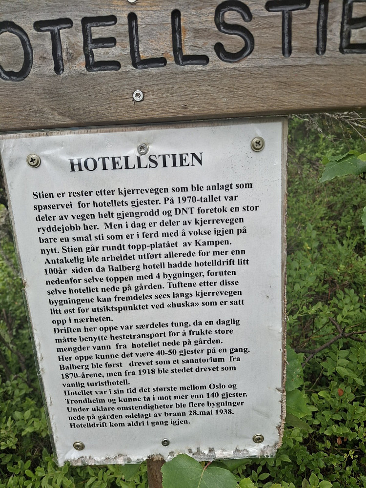INFO