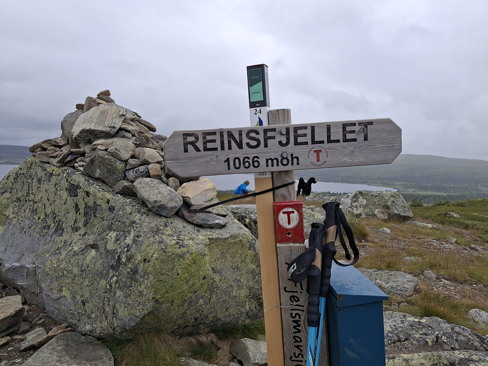 På  Reinsfjellet