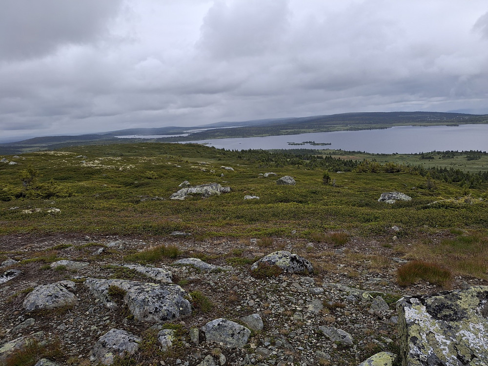 På Reinsfjellet