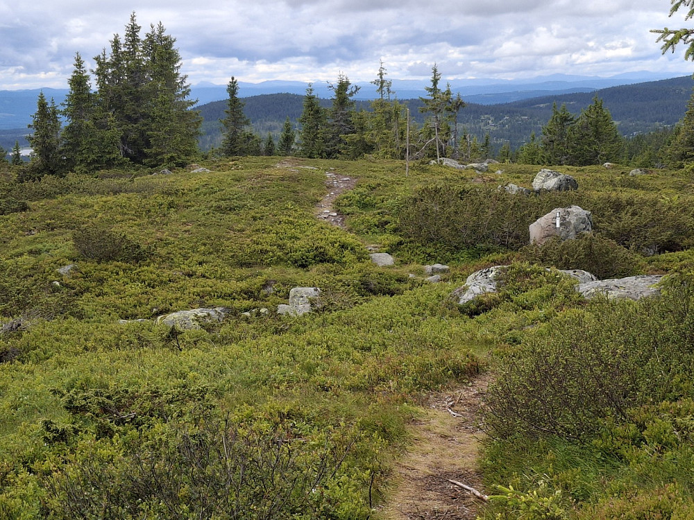 På Sjusjøfjellet