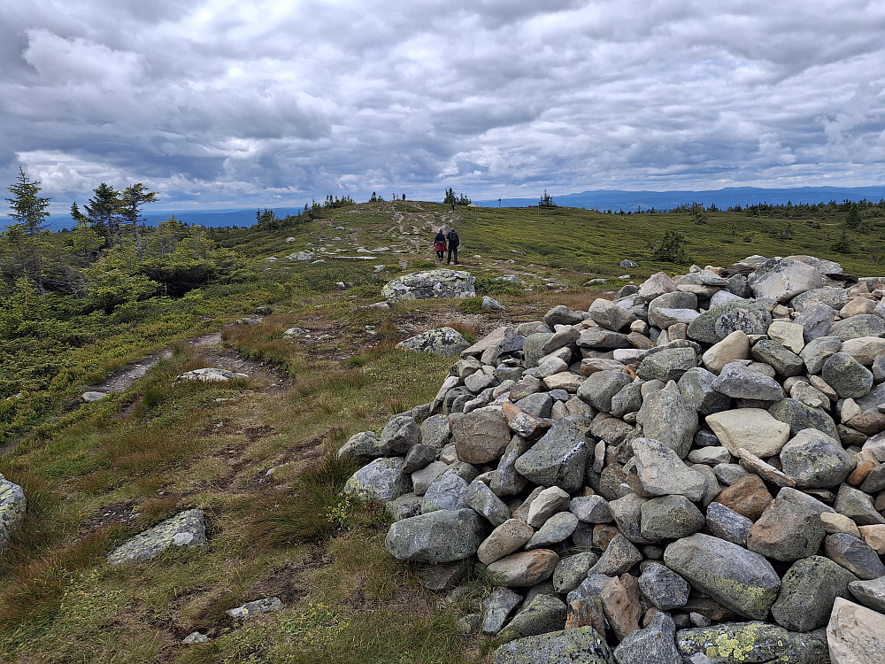 På Sjusjøfjellet øst