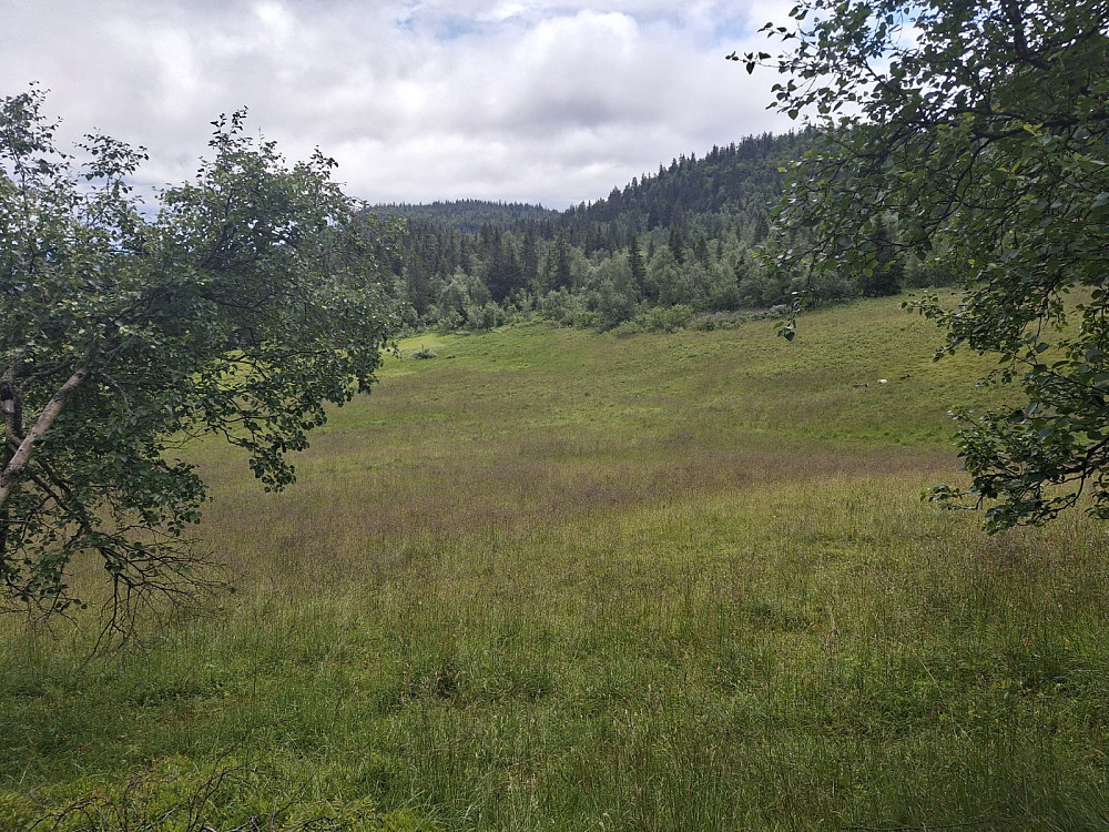 Ved Bjørgelykkja