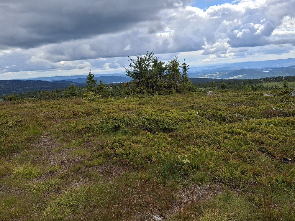 På Vesle Lunkefjell
