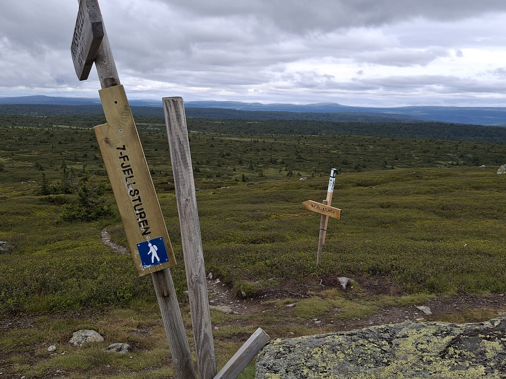 På Kriksfjell, Lyngkampen høgest bak