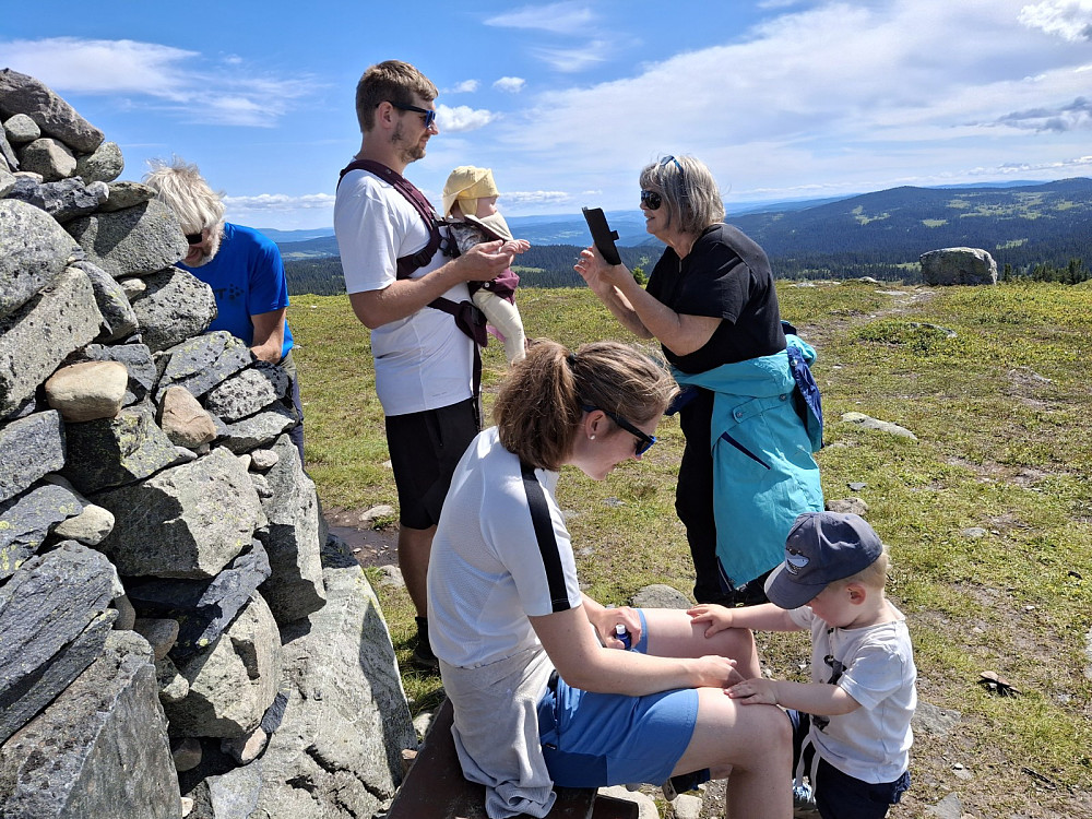 På Hærfjellet|