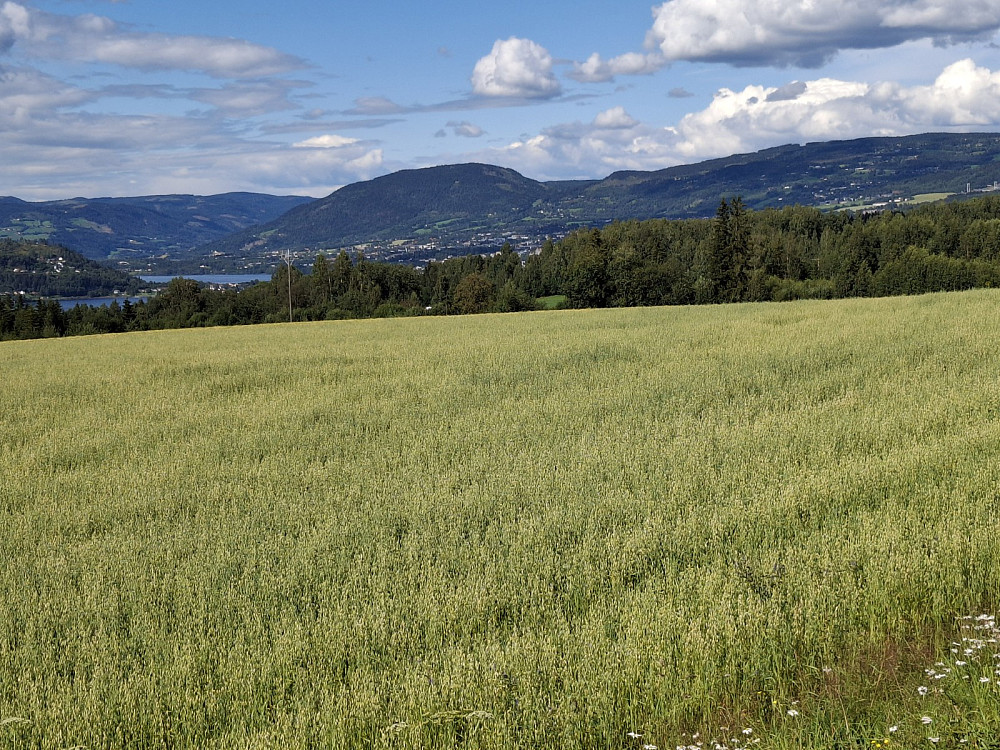 Utsikt på turen