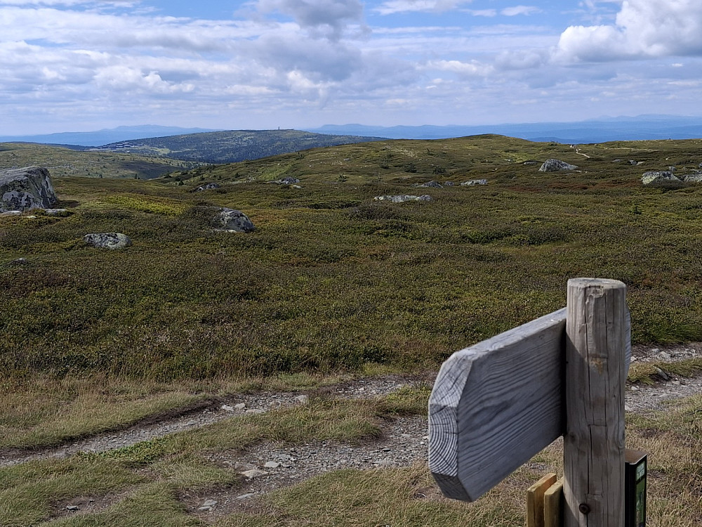 På Hitfjellet