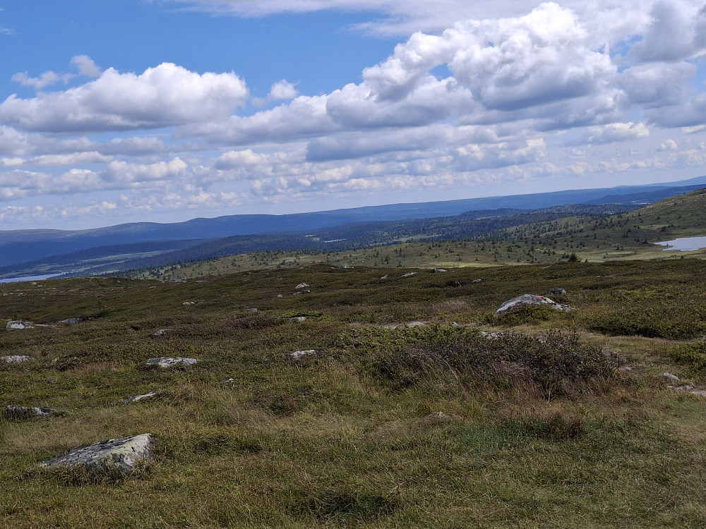 På Hitfjellet