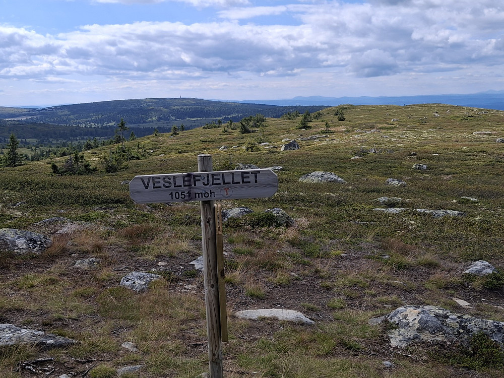 På Veslefjellet