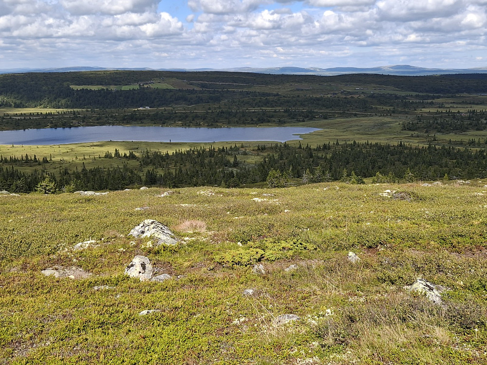 På Veslefjellet