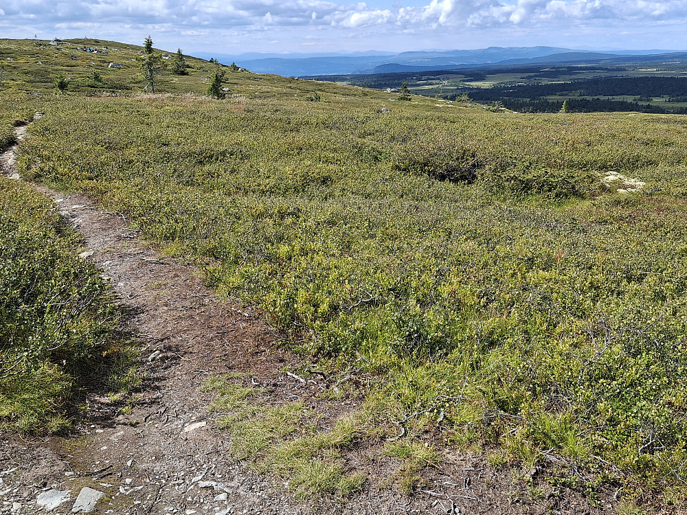 Mot Veslefjellet