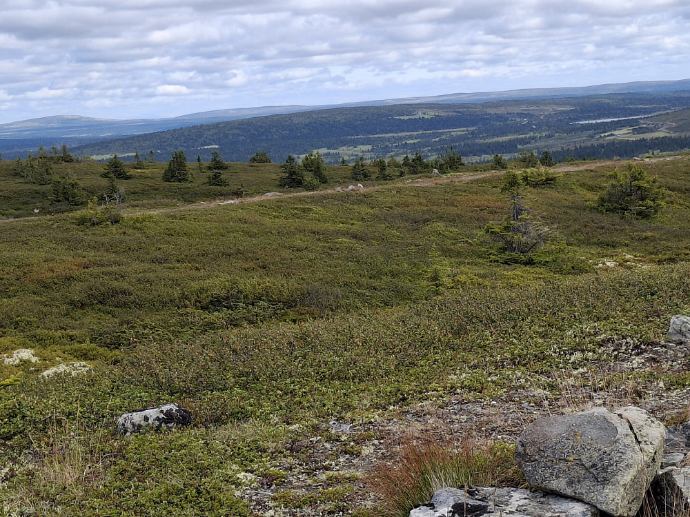 På toppunktet på Hafjell
