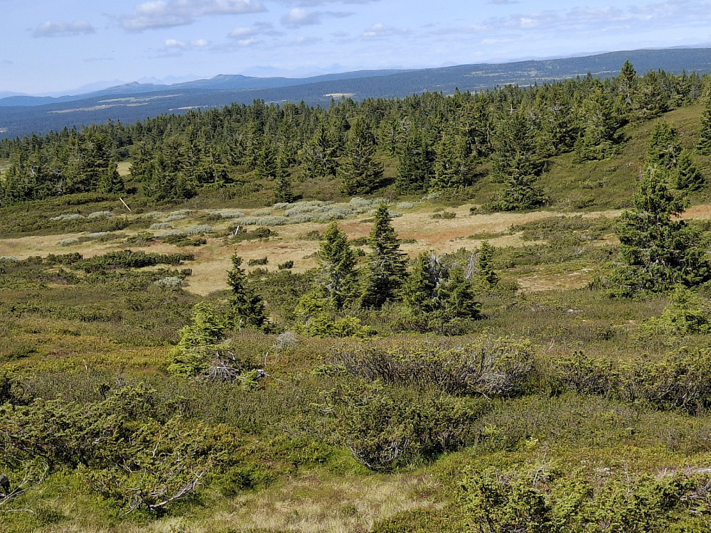 Mot Djupdalskampen og Svangkampen, skimter Rondane bak