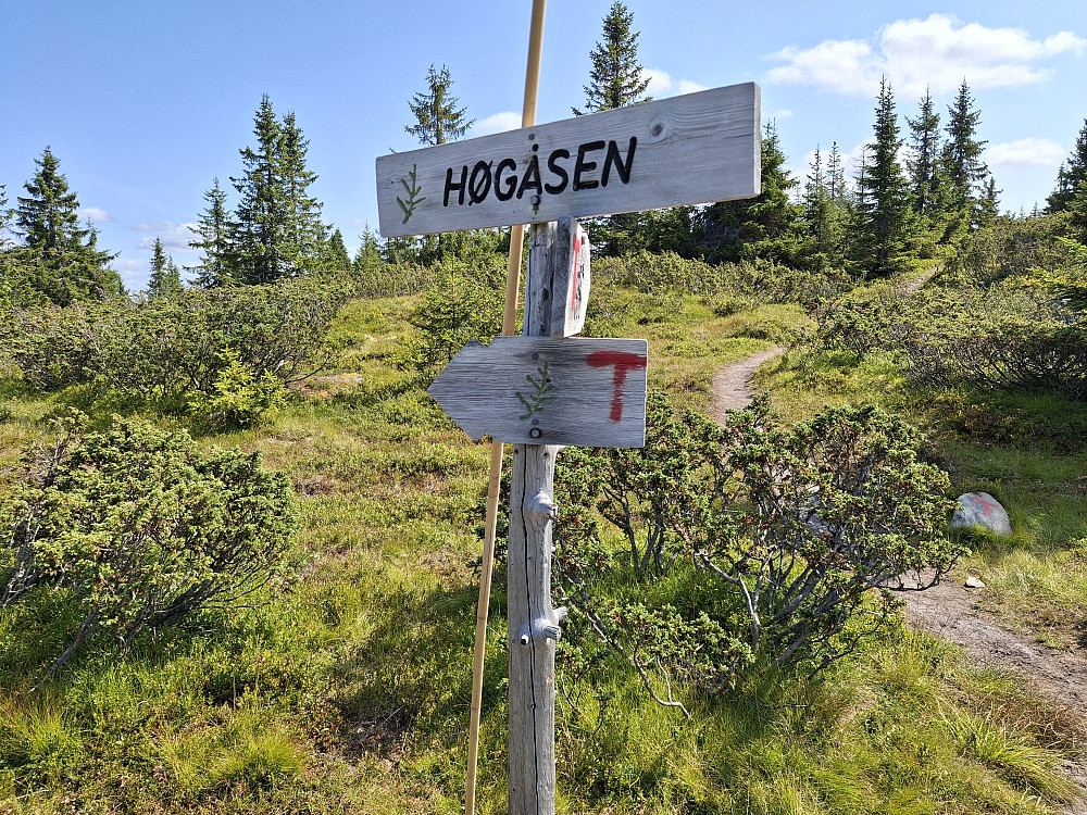 Løypekrysset ved Høgåsen