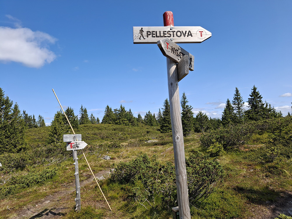 Løypekrysset ved Høgåsen