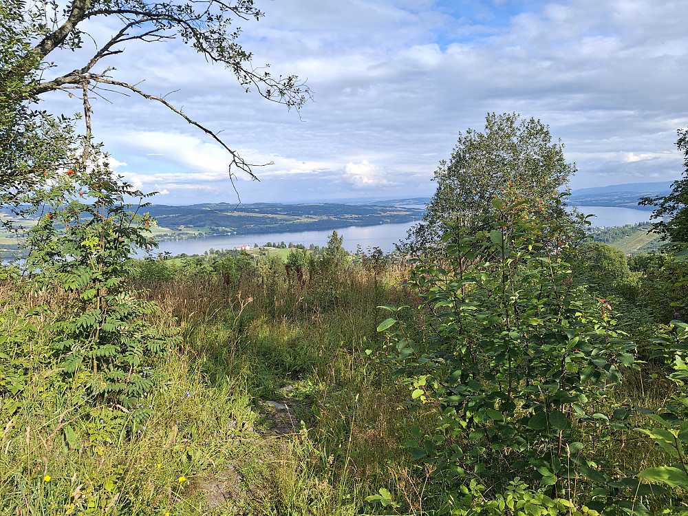 På Bergstoppen 