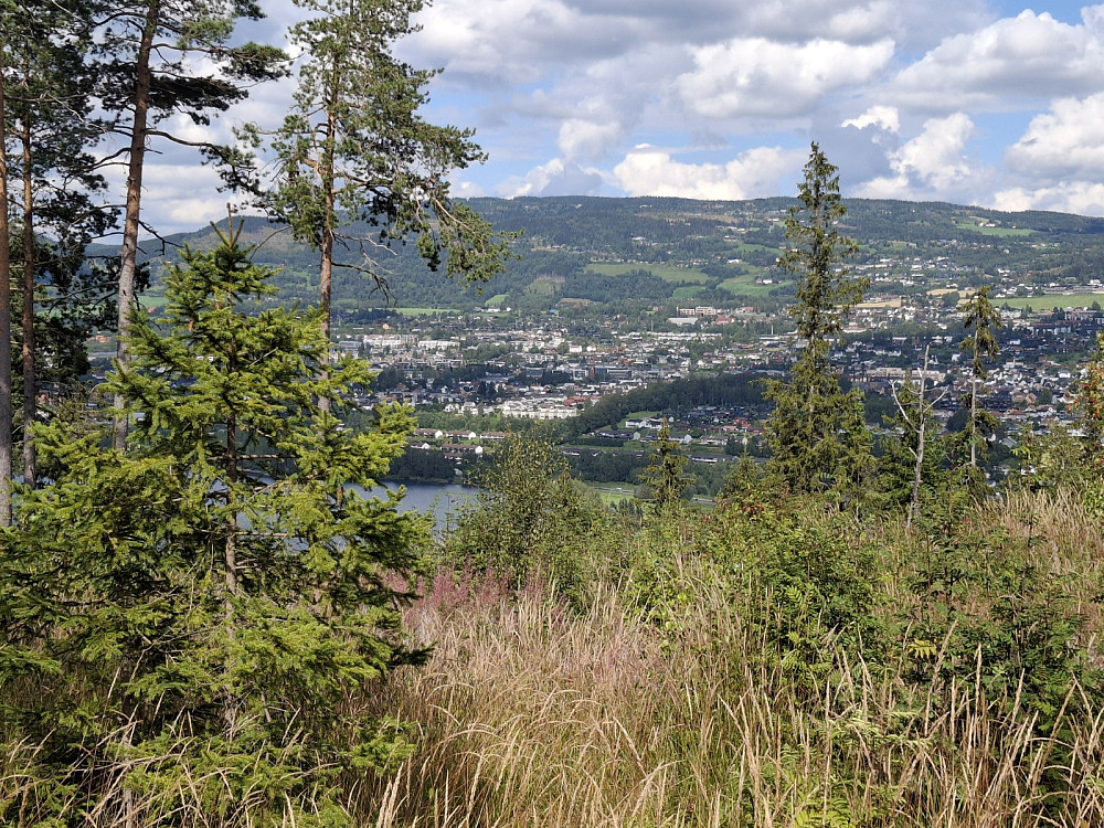 På Pinikkhaugen