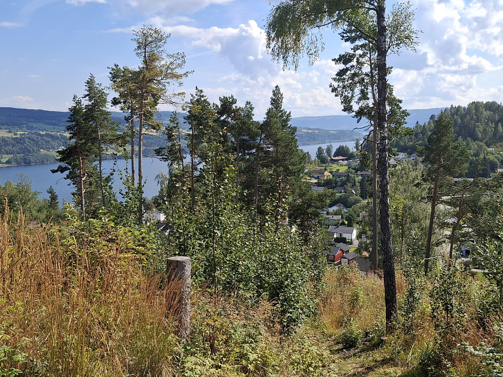 På Pinikkhaugen