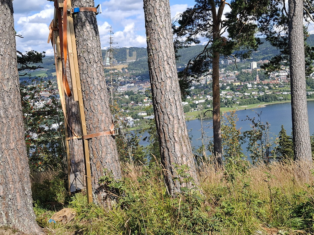 På Pinikkhaugen