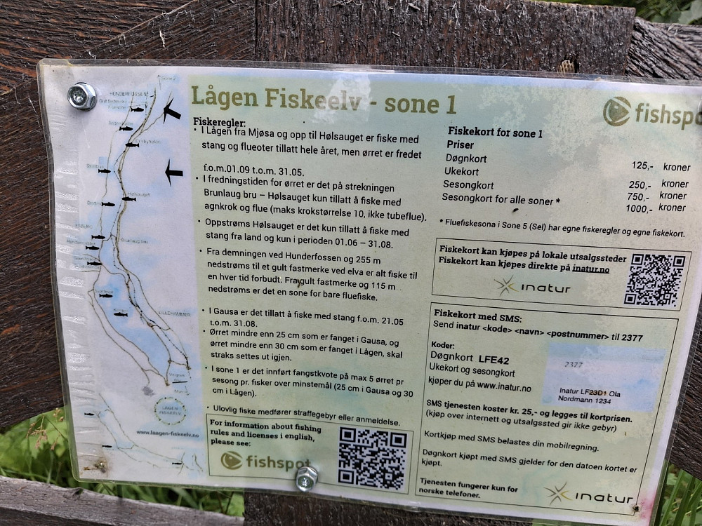 INFO om fiste i Lågen