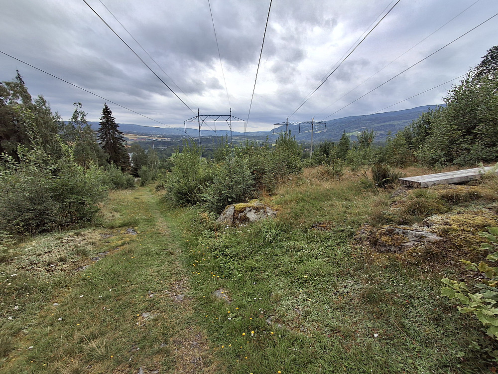 Nedover mot Brusvea