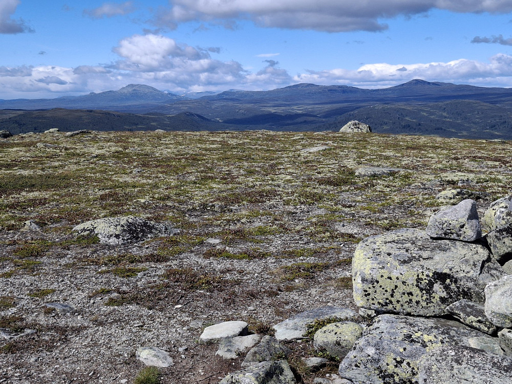 På Vågskardfjellet