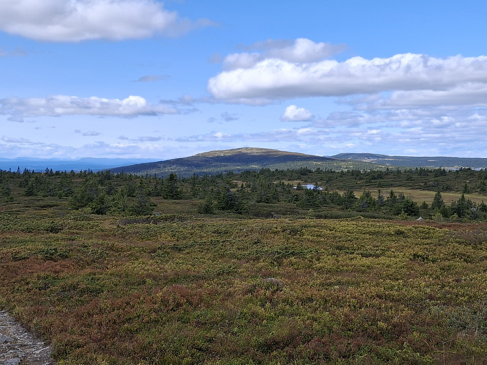 På Lunkefjell vest